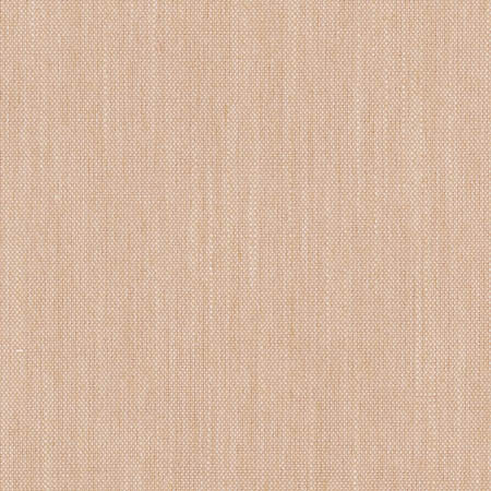 Aerial Blush by Carole Designer Fabric Sunbaked 100% Polyester INDIA None 54" - Swanky Fabrics -