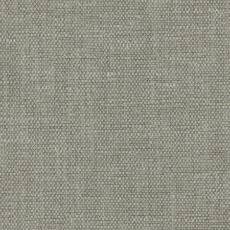 Bessarion Magnet by Carole Designer Fabric Prominence 71% Polyester, 29% Cotton India 15,000 Wyzenbeek Double Rubs None 55" - Swanky Fabrics -