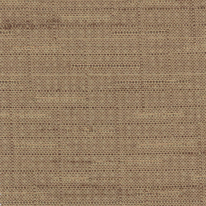 Banksville Almond by Carole Designer Fabric Bigelow 100% Polyester Mexico Passes 18,000 Double Rubs Wyzenbeek Horizontal: 0 and Vertical: 0 54 - Swanky Fabrics -