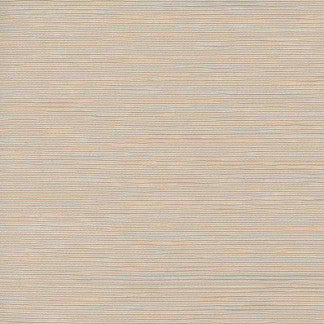 First Novel Putty by Carole Designer Fabric STATIONERY 72% Rayon, 28% Polyester China Passes 30,000 Double Rubs Wyzenbeek None 55" - Swanky Fabrics -