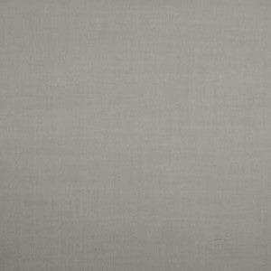 Carole Fabric Common Sense Pebble