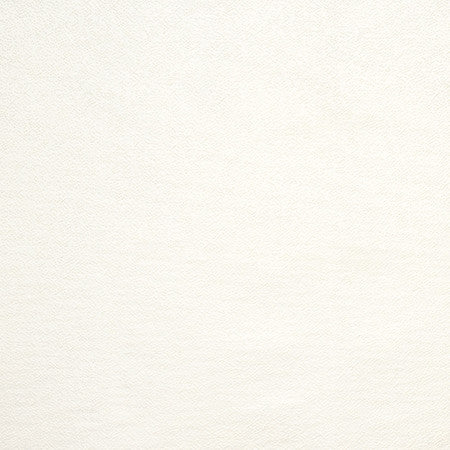 Gravel Path Cream by Carole Designer Fabric State Of The Art 100% Polyester INDIA 30,000 Wyzenbeek Double Rubs None 54" - Swanky Fabrics -
