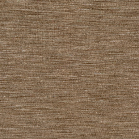 Superstar Bronze by Carole Designer Fabric Best Dressed 100% Polyester 3,000 Wyzenbeek Double Rubs None 54" - Swanky Fabrics -