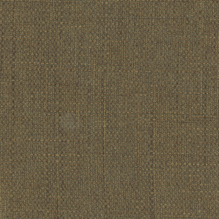 Commencement Truffle by Carole Designer Fabric Commencement 100% Polyester-SSWR, Anti-Microbial Taiwan 50,000 Wyzenbeek Double Rubs Horizontal: 0 and Vertical: 0 56 - Swanky Fabrics -