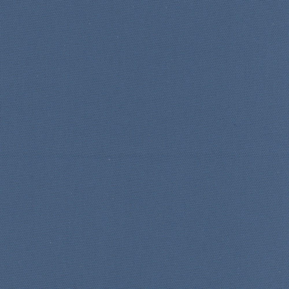 Daydreamer Cadet by Carole Designer Fabric Daydreaming 100% Cotton- Soil Release USA Passes 30,000 Double Rubs Wyzenbeek Horizontal: 0 and Vertical: 0 54 - Swanky Fabrics -