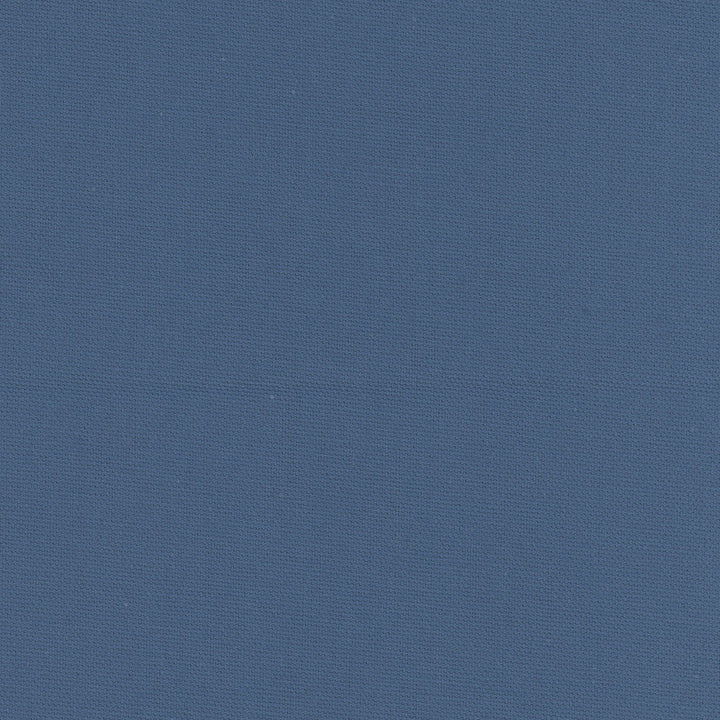 Daydreamer Cadet by Carole Designer Fabric Daydreaming 100% Cotton- Soil Release USA Passes 30,000 Double Rubs Wyzenbeek Horizontal: 0 and Vertical: 0 54 - Swanky Fabrics -