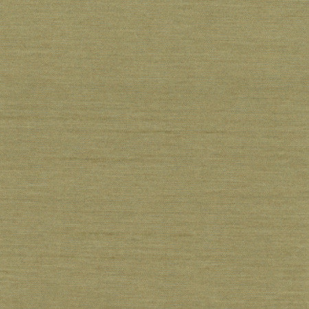 Northwind Sage by Carole Designer Fabric New Northwind III,New Northwind IV,New Northwind IV,Northwind V 100% Polyester India None 54" - Swanky Fabrics -