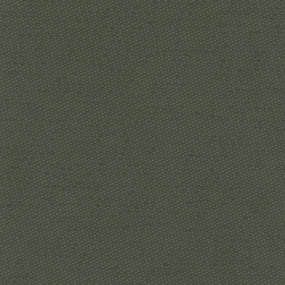 Fact Finder Seaweed by Carole Designer Fabric Celadon 100% Polyester Turkey Passes 40,000 Double Rubs Wyzenbeek Horizontal: 0 and Vertical: 0 59 - Swanky Fabrics -