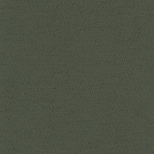 Carole Fabric Fact Finder Seaweed