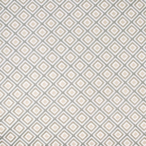 Carole Fabric Time Will Tell Metallic