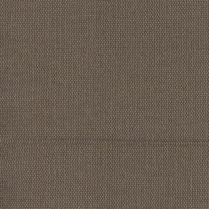 Carole Fabric Succulent Coffee Bean