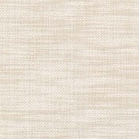 From The Start Cream by Carole Designer Fabric See It Through 66% Cotton, 34% Polyester India None 55.25" - Swanky Fabrics -