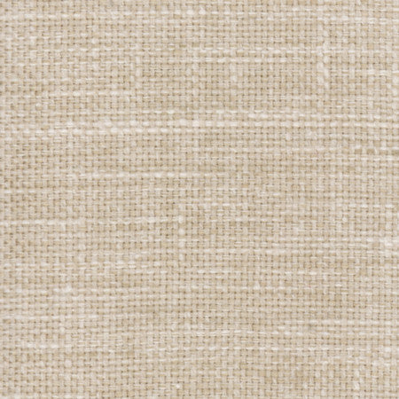 Lazarus Alabaster by Carole Designer Fabric Prominence 54% Cotton, 46% Polyester India N/A None 54" - Swanky Fabrics -