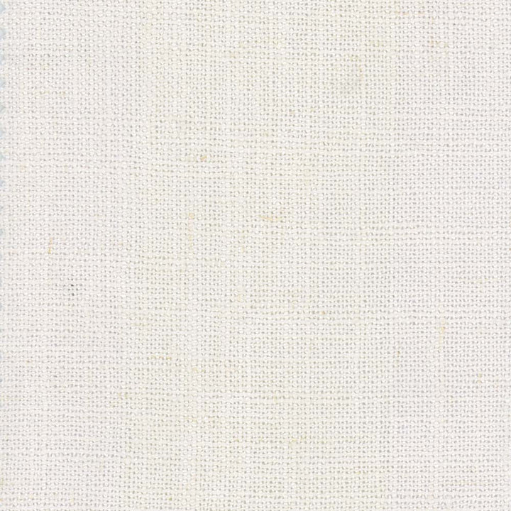 Monitor Cloud by Carole Designer Fabric Sandblasted 95% Polyester, 5% Linen China Passes 15,000 Double Rubs Wyzenbeek Horizontal: 0 and Vertical: 0 55 - Swanky Fabrics -