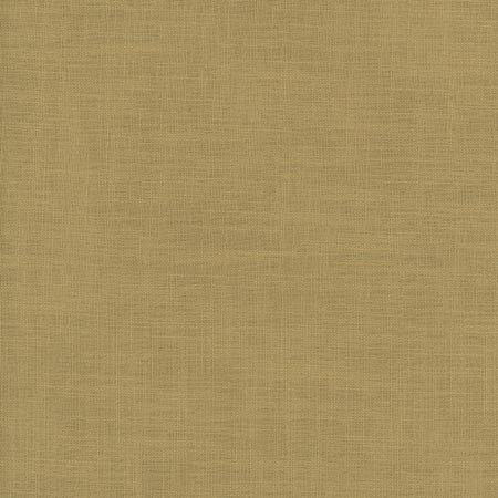 Fundamental Canyon by Carole Designer Fabric FUNDAMENTAL 100% Polyester Turkey Passes 20,000 Double Rubs Wyzenbeek None 54" - Swanky Fabrics -