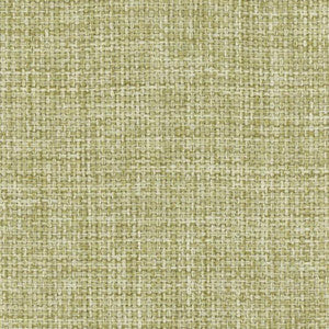 Carole Fabric Director's Cut Grass