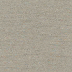 Carole Fabric Northwind Smoke