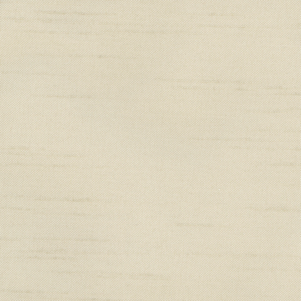 Fleeting Oyster by Carole Designer Fabric Royale 100% Polyester India Passes 50,000 Double Rubs Wyzenbeek Horizontal: 0 and Vertical: 0 54 - Swanky Fabrics -