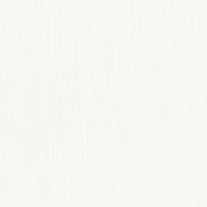 Aerial White by Carole Designer Fabric Opal 100% Polyester India Passes 50,000 Double Rubs Wyzenbeek Horizontal: 0 and Vertical: 0 56 - Swanky Fabrics -