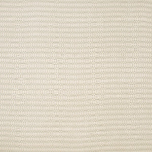 Carole Fabric Scavenger Hunt Zinc