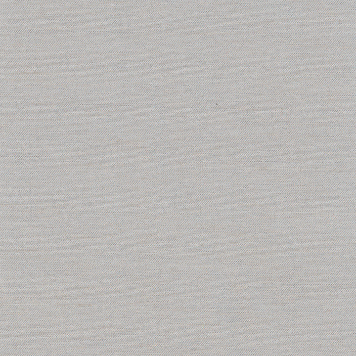Northwind Dove by Carole Designer Fabric New Northwind Iv 100% Polyester India Passes 9,000 Double Rubs Wyzenbeek Horizontal: 0 and Vertical: 0 54 - Swanky Fabrics -