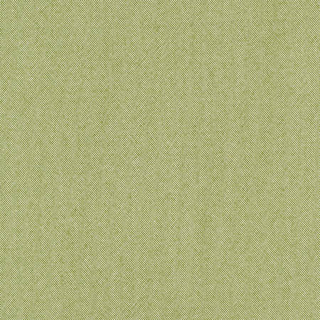 Freshman Aloe by Carole Designer Fabric Laguna 100% Polyester INDIA 100,000 Wyzenbeek Double Rubs None 54" - Swanky Fabrics -