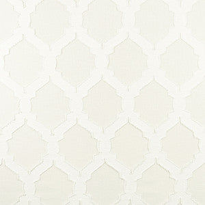 Carole Fabric Common Cause Ecru