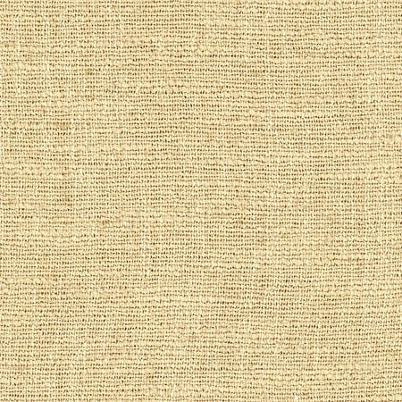 Warden Cornhusk by Carole Designer Fabric Sunbaked 90% Polyester, 10% Linen CHINA 20,000 Wyzenbeek Double Rubs None 55" - Swanky Fabrics -