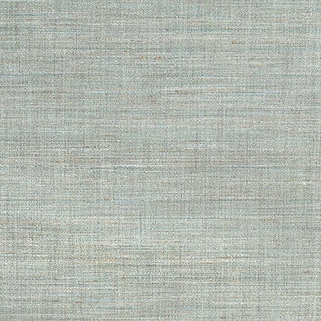 Prodigy Seaspray by Carole Designer Fabric Best Dressed 100% Polyester 30,000 Wyzenbeek Double Rubs None 55" - Swanky Fabrics -