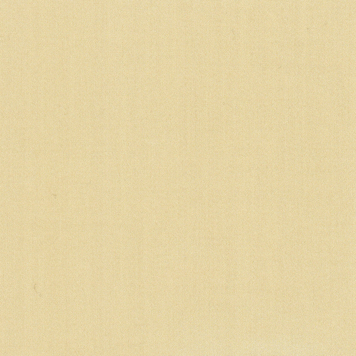 Tempt Straw by Carole Designer Fabric Royale 100% IFR Polyester India Passes 45,000 Double Rubs Wyzenbeek Horizontal: 0 and Vertical: 0 54 - Swanky Fabrics -