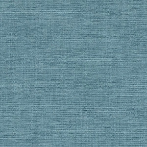 Carole Fabric Big Thinker Lake