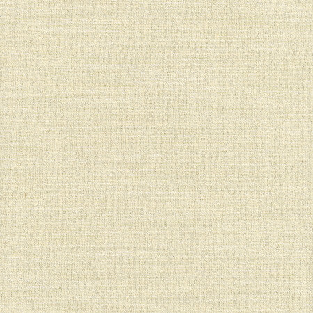 Say Yes Shimmer by Carole Designer Fabric WINNER'S CIRCLE 78% Polyester, 22% Viscose India N/A </p><p>Repeat: None 55" - Swanky Fabrics -