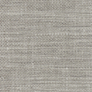Carole Fabric Lazarus Silvermist