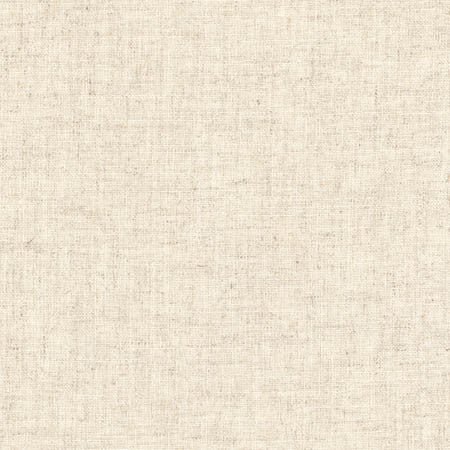 Grateful Twine by Carole Designer Fabric Grateful 70% Viscose, 30% Linen India None 55.5" - Swanky Fabrics -