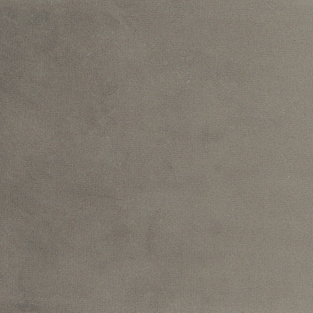 Plush Touch Charcoal by Carole Designer Fabric Touch Of Luxury 100% Polyester Knit Backing China 235,000 Wyzenbeek Double Rubs Horizontal: 0 and Vertical: 0 55 - Swanky Fabrics -