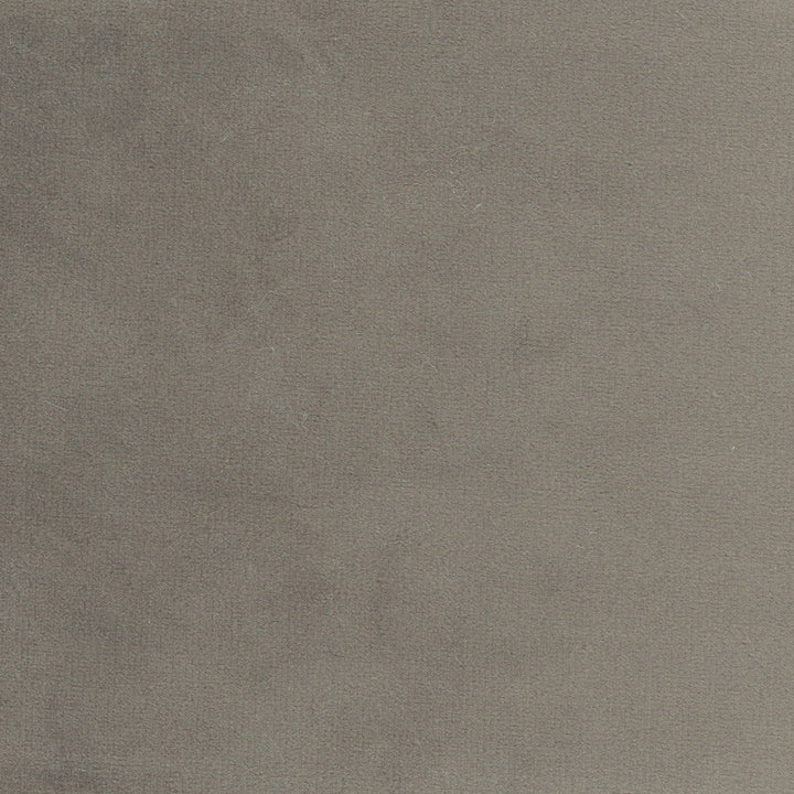 Plush Touch Charcoal by Carole Designer Fabric Touch Of Luxury 100% Polyester Knit Backing China 235,000 Wyzenbeek Double Rubs Horizontal: 0 and Vertical: 0 55 - Swanky Fabrics -
