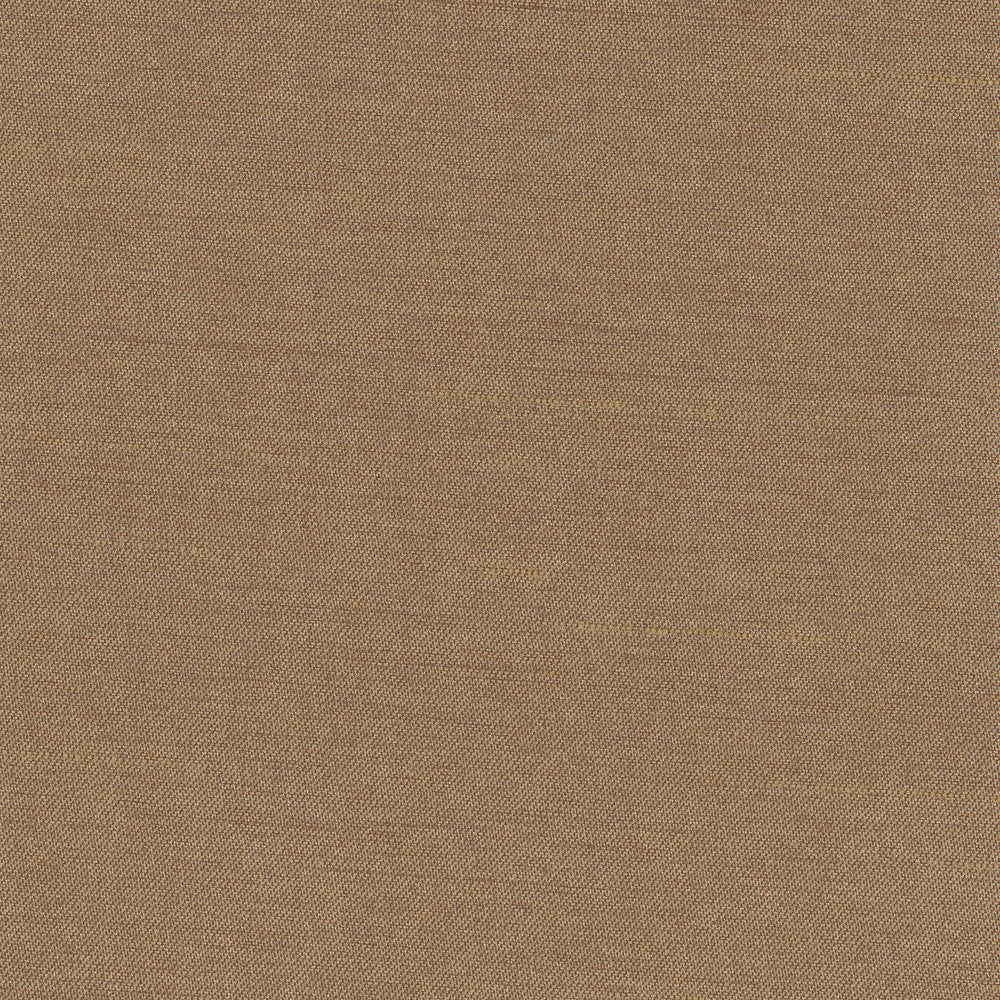 Northwind Earth by Carole Designer Fabric New Northwind Iv 100% Polyester India Passes 9,000 Double Rubs Wyzenbeek Horizontal: 0 and Vertical: 0 54 - Swanky Fabrics -