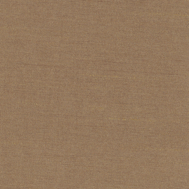 Northwind Earth by Carole Designer Fabric New Northwind Iv 100% Polyester India Passes 9,000 Double Rubs Wyzenbeek Horizontal: 0 and Vertical: 0 54 - Swanky Fabrics -