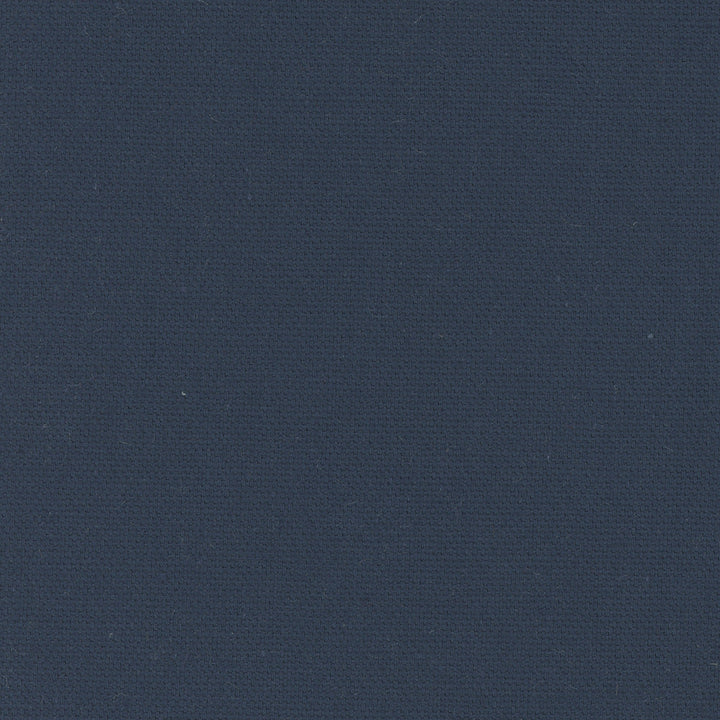 Daydreamer Navy by Carole Designer Fabric Daydreaming 100% Cotton- Soil Release USA Passes 30,000 Double Rubs Wyzenbeek Horizontal: 0 and Vertical: 0 54 - Swanky Fabrics -