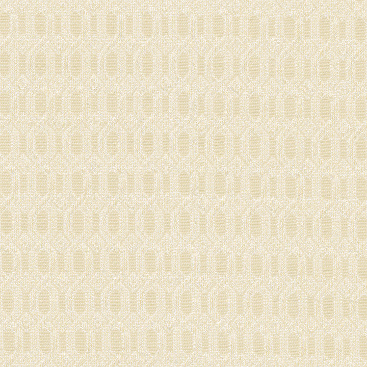 Chain Link French Vanilla by Carole Designer Fabric Pink Jade 67% Polyester, 33% Cotton India 50,000 Wyzenbeek Double Rubs Horizontal: 0.75 and Vertical: 0.75 56 - Swanky Fabrics -