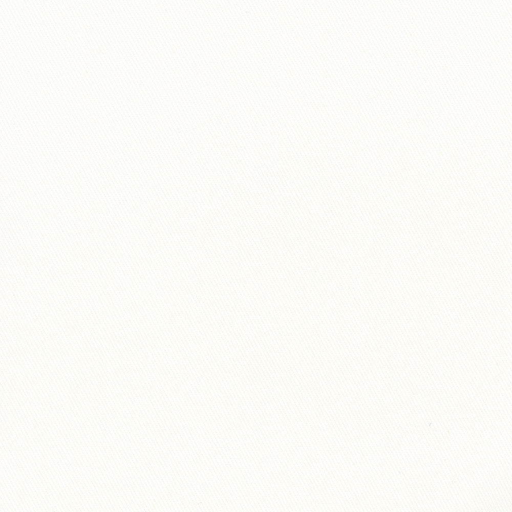 More Time White by Carole Designer Fabric Opal 100% Cotton China N/A Horizontal: 0 and Vertical: 0 555 - Swanky Fabrics -