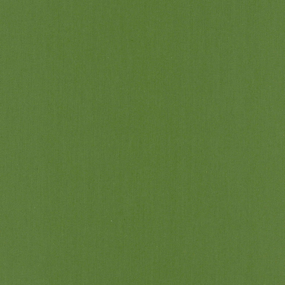 Comfort Kelly by Carole Designer Fabric Daydreaming 100% Cotton India Passes 21,000 Double Rubs Wyzenbeek Horizontal: 0 and Vertical: 0 54 - Swanky Fabrics -
