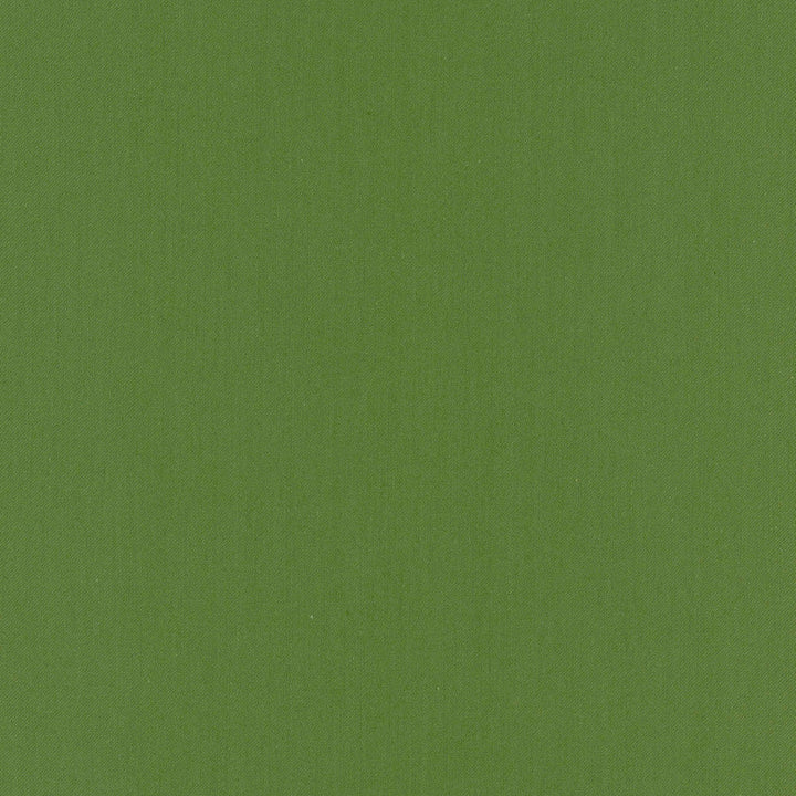 Comfort Kelly by Carole Designer Fabric Daydreaming 100% Cotton India Passes 21,000 Double Rubs Wyzenbeek Horizontal: 0 and Vertical: 0 54 - Swanky Fabrics -