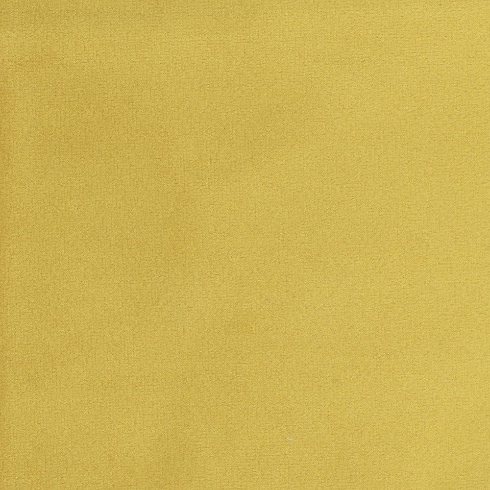 Plush Touch Brass by Carole Designer Fabric Touch Of Luxury 100% Polyester Knit Backing China 235,000 Wyzenbeek Double Rubs Horizontal: 0 and Vertical: 0 55 - Swanky Fabrics -