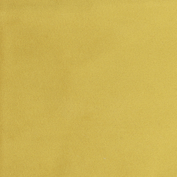 Plush Touch Brass by Carole Designer Fabric Touch Of Luxury 100% Polyester Knit Backing China 235,000 Wyzenbeek Double Rubs Horizontal: 0 and Vertical: 0 55 - Swanky Fabrics -