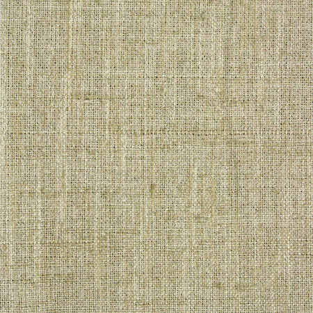 Consultant Aloe by Carole Designer Fabric Laguna 100% Polyester INDIA N/A None 54" - Swanky Fabrics -