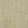 Carole Fabric Consultant Aloe