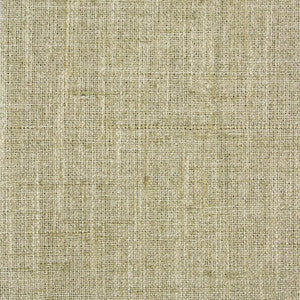 Carole Fabric Consultant Aloe