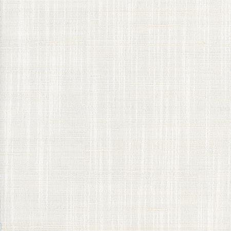 Totally Relaxed Winter White by Carole Designer Fabric COME HOME 90% Polyester, 10% Cotton India N/A Horizontal: 0" and Vertical: 0" 54" - Swanky Fabrics -