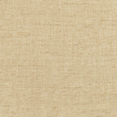 Training Day Sand by Carole Designer Fabric Sunbaked 92% Polyester, 8% Cotton INDIA None 54" - Swanky Fabrics -